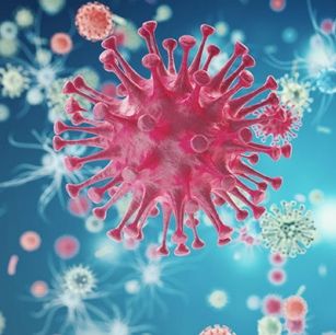 Lenti-NFκB-Luc-EF1α-mCherry  报告基因慢病毒