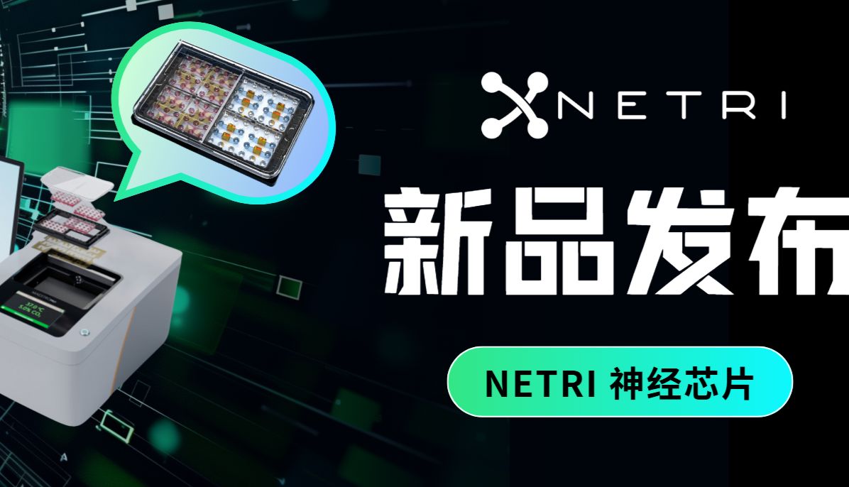 新品发布 | 法国NETRI神经芯片，助力体外神经科学