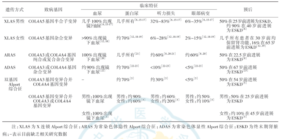 慢性肾病中的隐匿杀手——Alport综合征