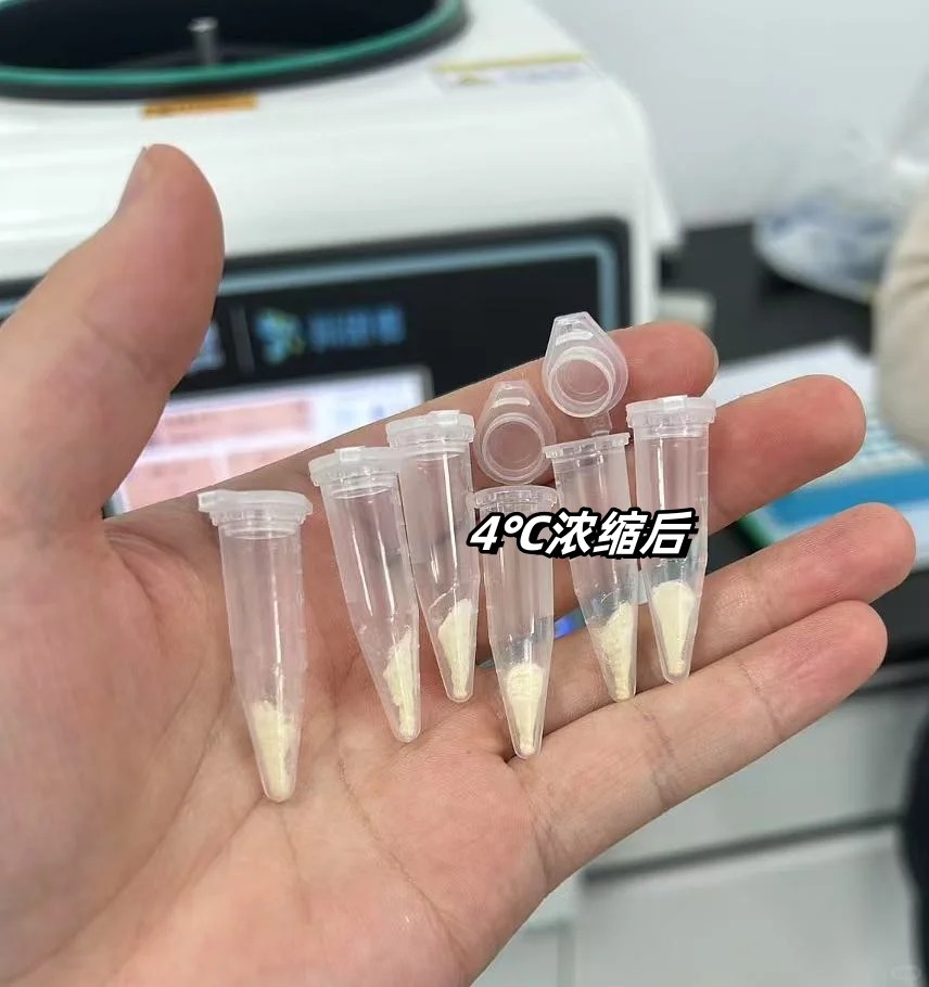 血清浓缩实验操作指南：真空离心浓缩仪的使用