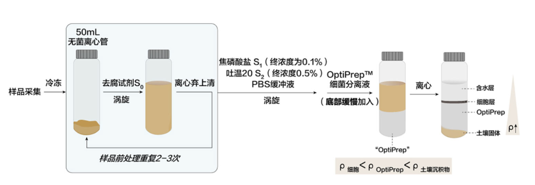 重金属污染土壤，还有救吗？