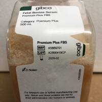 ThermoFisher(Gibco)货号A5669701现货Fetal Bovine Serum，Premium Plus上海睿安生物13611631389