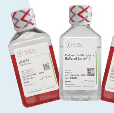原BI品牌更名为VivaCell品牌-细胞培养基、血清、细胞辅助试剂、干细胞系列产品目录
