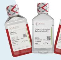 原BI品牌更名为VivaCell品牌-细胞培养基、血清、细胞辅助试剂、干细胞系列产品目录