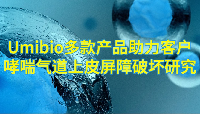 IF=8| Umibio细胞上清外泌体提取试剂盒等多款产品助力客户哮喘气道上皮屏障破坏研究！