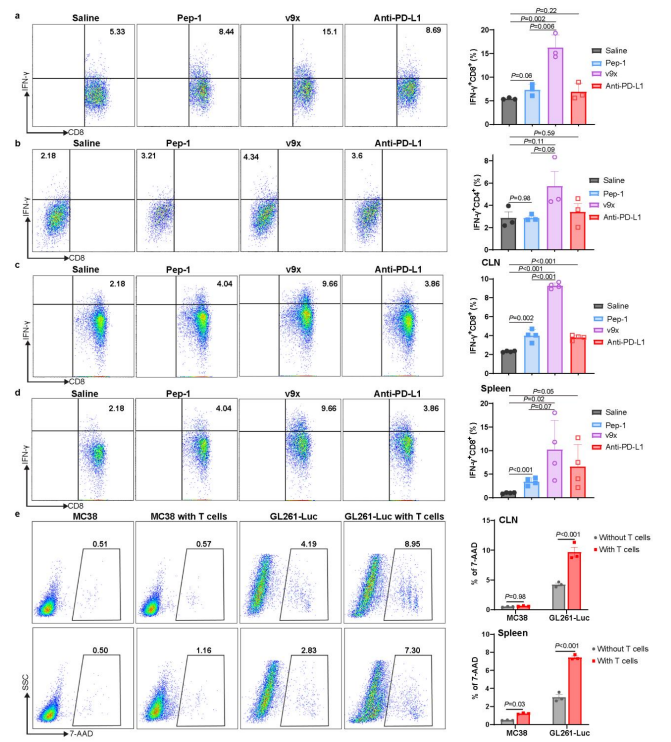 一种用于癌症免疫治疗的基于共价肽溶酶体靶向蛋白降解平台