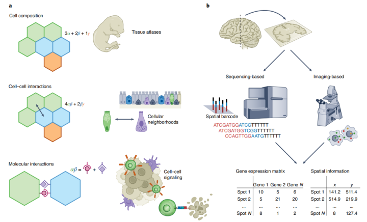 走进空间转录组-解锁FFPE样本RNA
