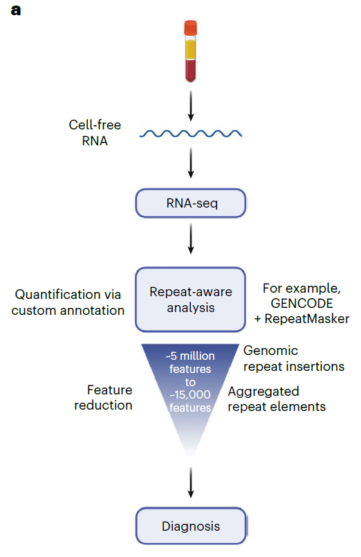 谁说cfRNA不能长读长？