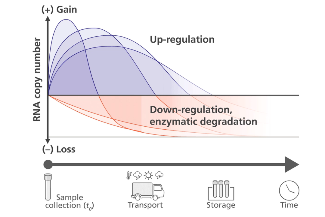 血液样本的RNA提取，第一步最容易被忽略！