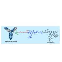  2407465-18-1| Farletuzumab ecteribulin  | MORAb