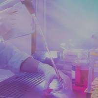 ELISA、免疫组化、HE染色代测实验代测