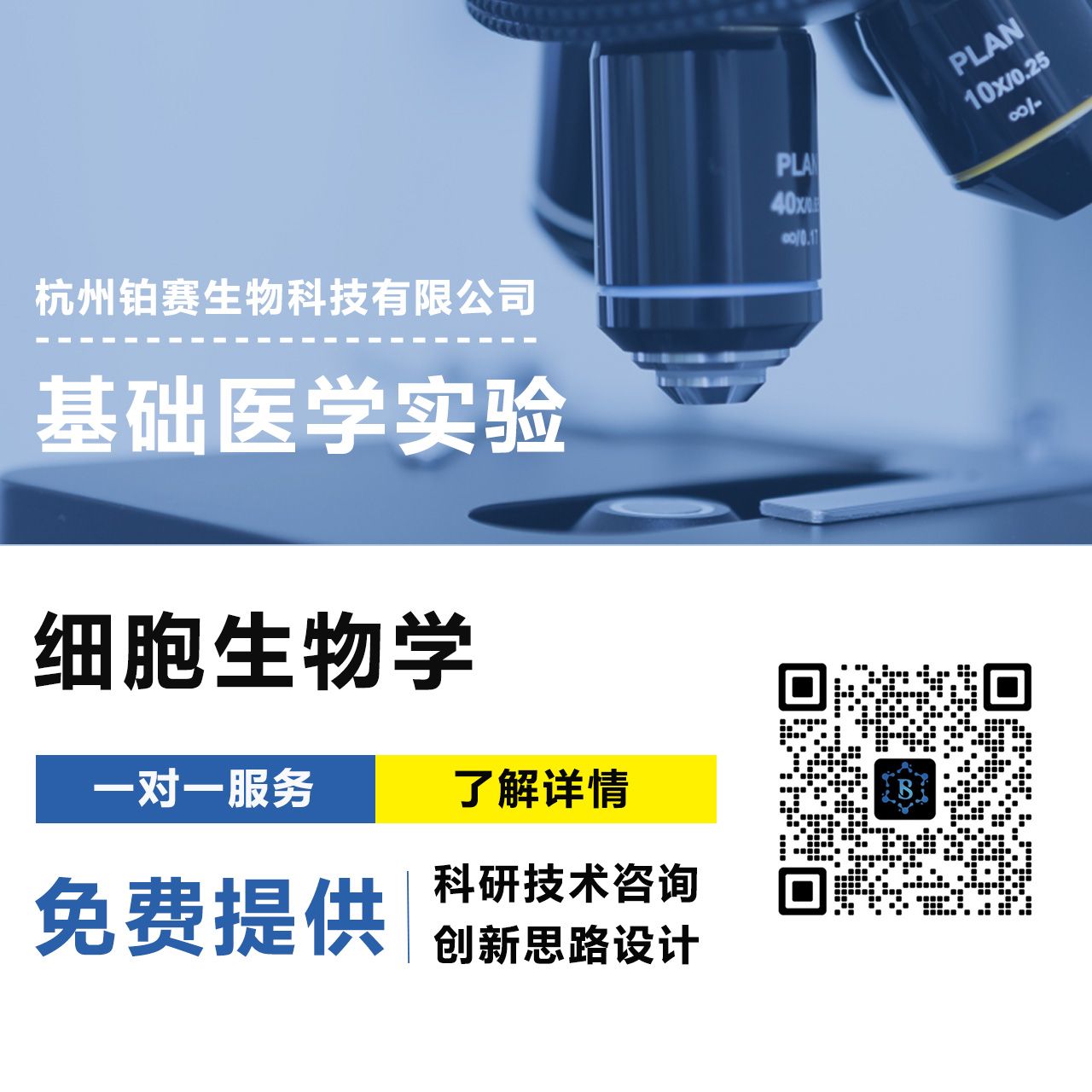 钠死亡（NECSO） #铁死亡 #铜死亡 #细胞凋亡 #坏死性凋亡