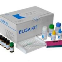 白介素ELISA检测试剂盒