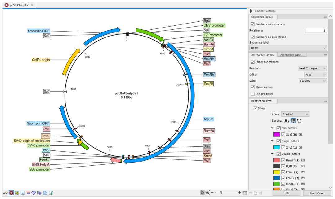 实验不成功，你可能忽视了检测质粒质量