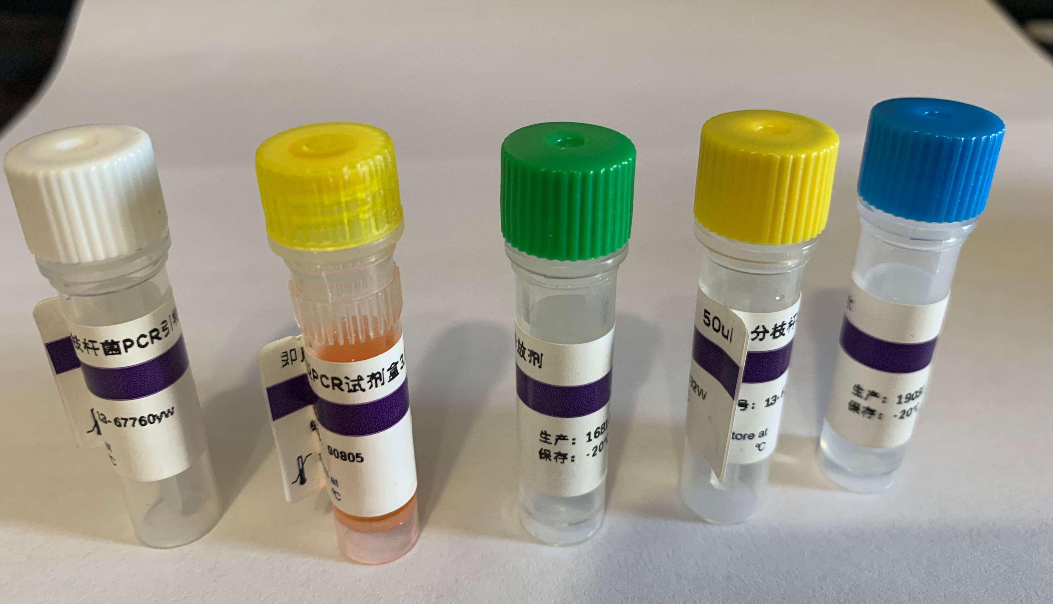 精准狙击禽腺病毒I群——3小时极速检测，助力科研