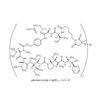 1182215-65-1 | Glembatumumab vedotin | CDX-011; CR011-vcMMAE | 抗体药物偶联物(ADC) | 全人IgG2单克隆抗体CR011 | 细胞毒性药物MMAE(Monomethyl Auristatin E)