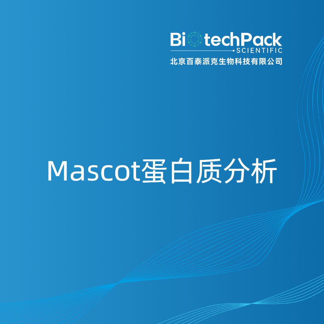 Mascot蛋白质分析产品图
