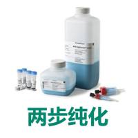 His与GST 标签蛋白纯化层析组合精选