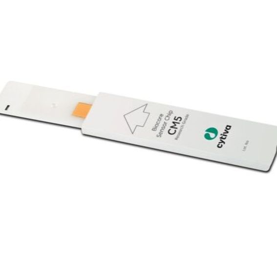 Biacore GST标签相互作用