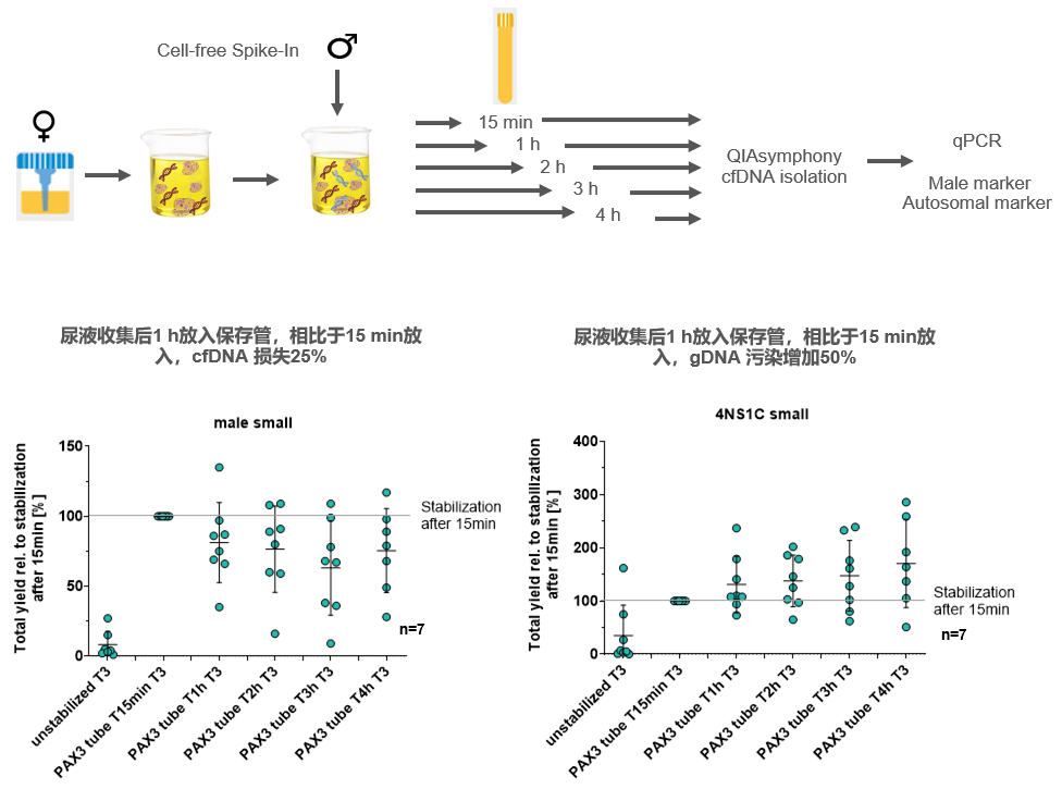 片段短？含量低？尿液cfDNA研究到底难在哪