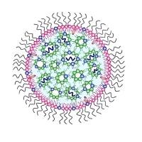 可电离脂质体纳米粒（ASNPs）包裹抗氧化药物虾青素（AST）和siRNA
