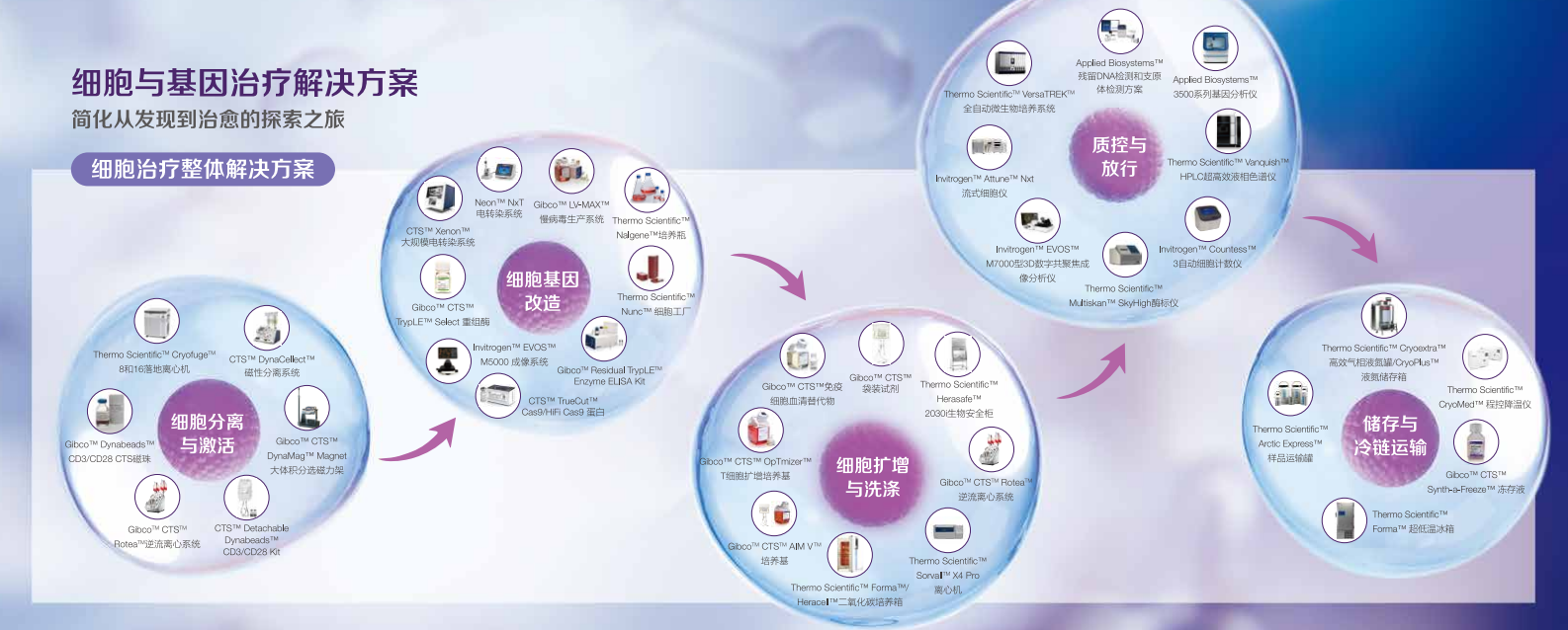 赛默飞细胞与基因治疗整体解决方案