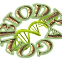 Biodragon博奥龙BDXB0116上海睿安生物D-虫荧光素钾盐13611631389