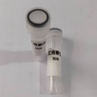 InVivo Anti-mouse CD8α （克隆号：2.43）