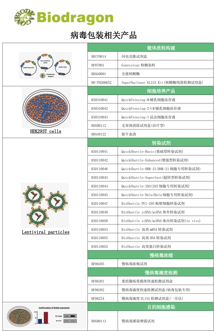 Biodragon博奥龙BF06205慢病毒浓缩试剂1361