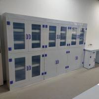 PP酸碱试剂柜全钢药品柜器皿柜气瓶柜实验室家具