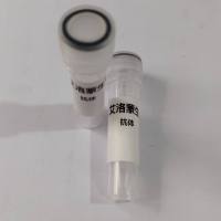 InVivo  Anti-mouse VEGFR-2 （DC101）