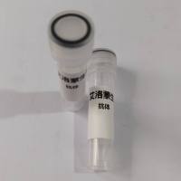 InVivo  Anti-mouse OX40 (CD134) (OX-86)