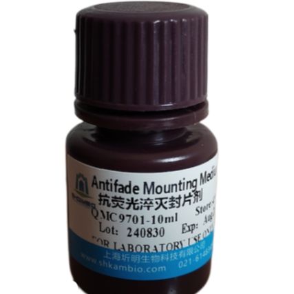 DNaseⅠ(RNase free)优惠价格