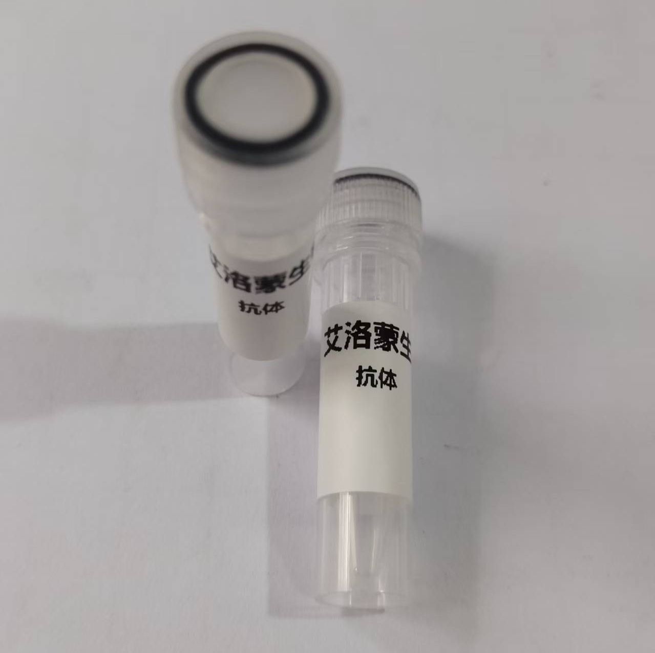 Invivo Anti-Human/mouse CTLA-4 (CD152)