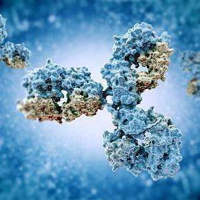 小鼠抗人κ轻链单克隆抗体