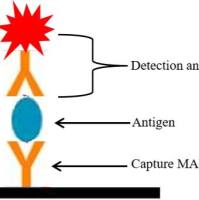 人凝血因子9单抗配对