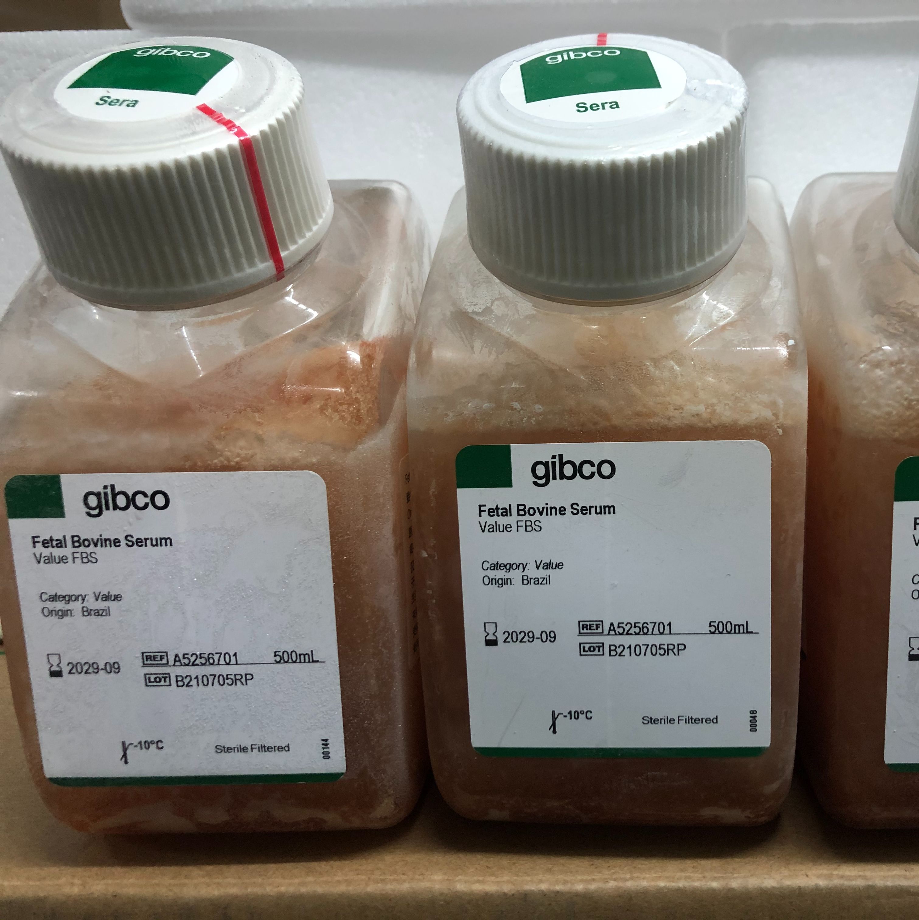Gibco货号A5256701巴西优级胎牛血清Gibco南美胎牛血清13611631389上海睿安生物