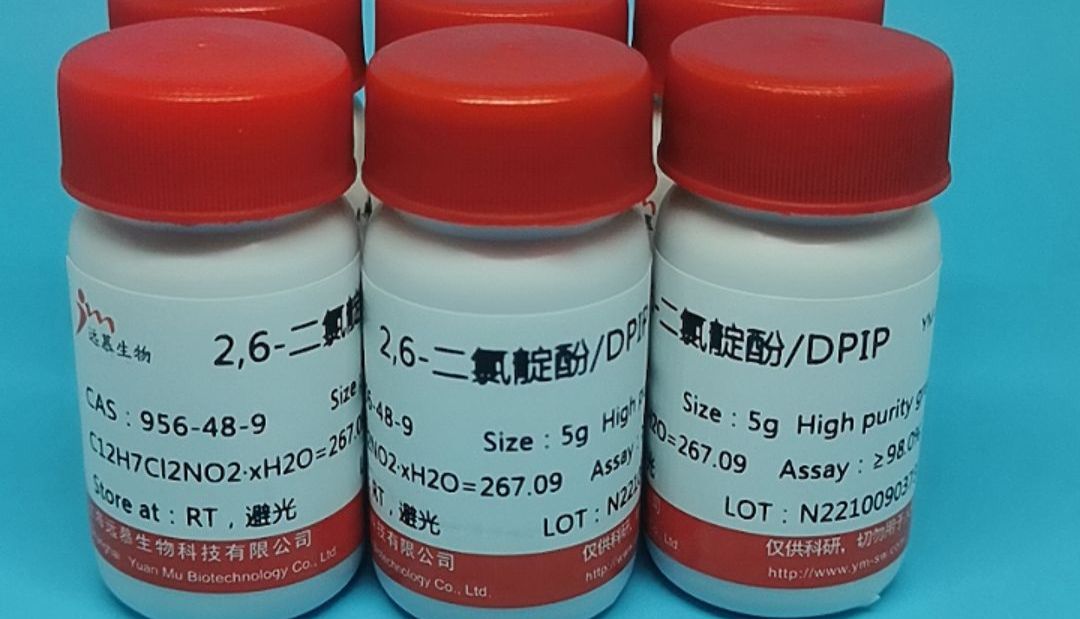 细胞免疫荧光结果分析详细步骤总结