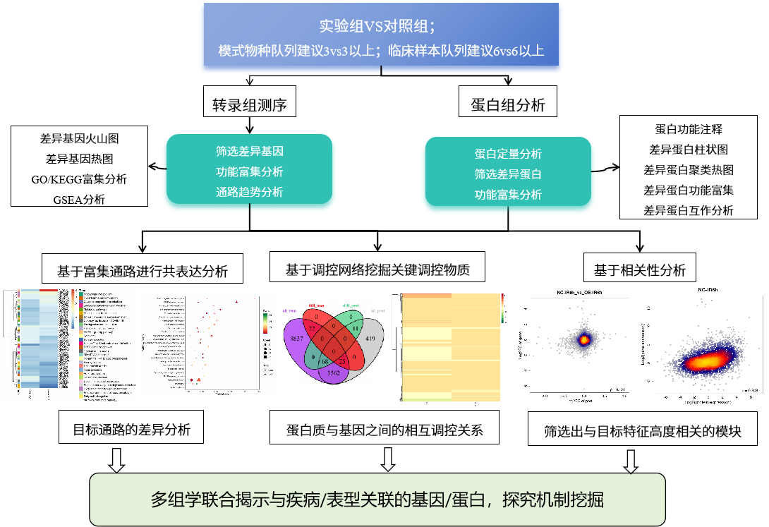 研究思路 | 多组学专题——如何进行转录组+蛋白组关联分析？