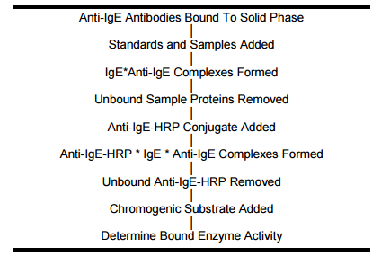 Mouse IgE ELISA Kit—Immunology Consultants Laboratory热销品