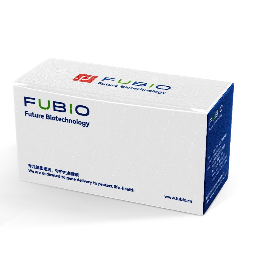 AAV磁珠纯化试剂盒