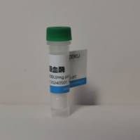 IF488标记鬼笔环肽染色试剂(绿光)