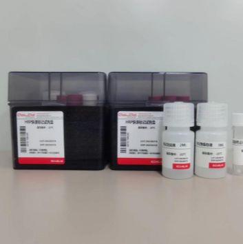 HRP快速标记试剂盒