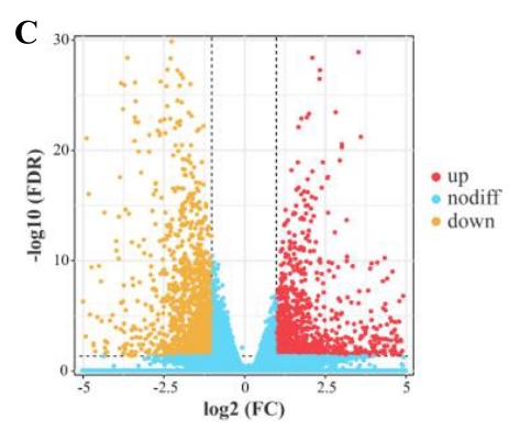 研究思路 | 多组学专题——如何进行转录组+蛋白组关联分析？