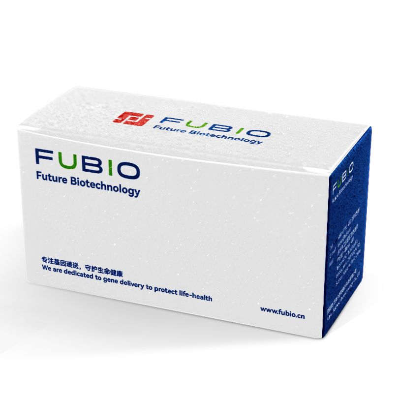 干扰质粒构建（三保一）