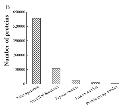 研究思路 | 多组学专题——如何进行转录组+蛋白组关联分析？