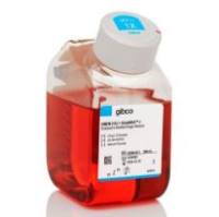 Gibco DMEM 高糖 GlutaMAX 添加剂 HEPES 10564029 10x500 mL