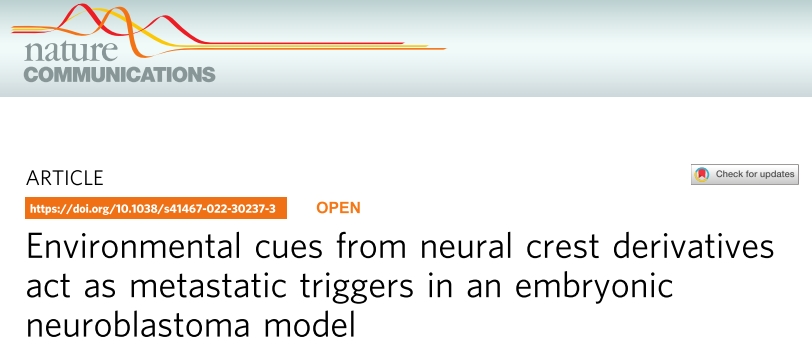 研究思路 | 多组学专题——如何进行转录组+蛋白组关联分析？