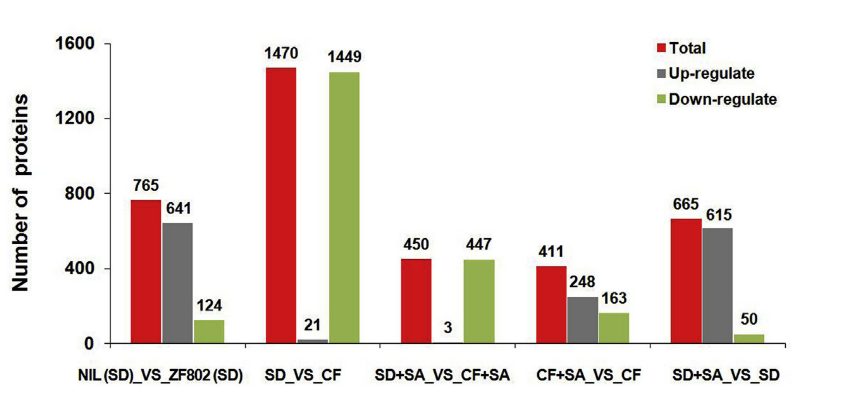 研究思路 | 多组学专题——如何进行转录组+蛋白组关联分析？