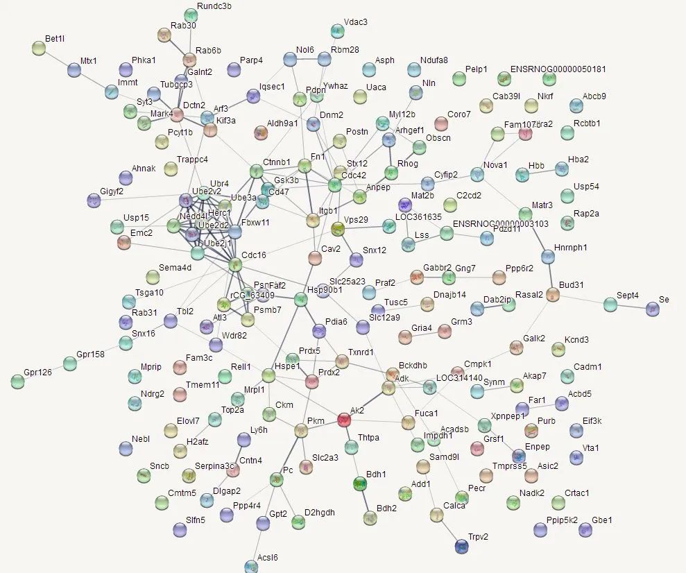 研究思路 | 多组学专题——如何进行转录组+蛋白组关联分析？